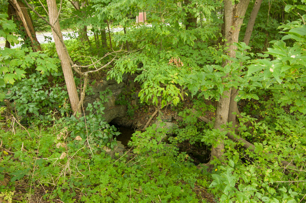 Resort Point Overlook