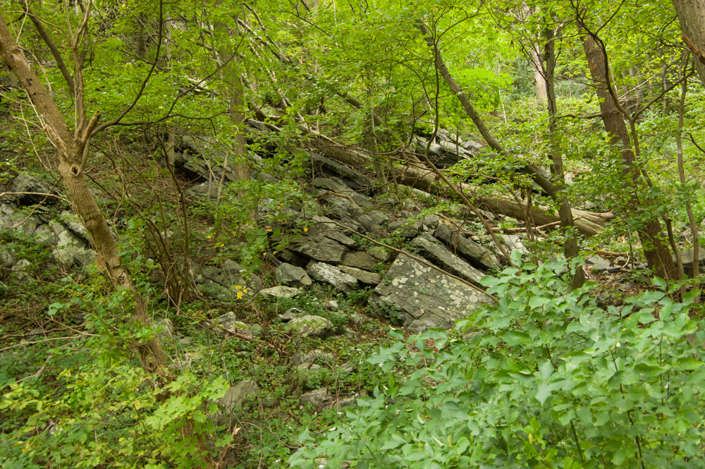 Point of Gap Overlook