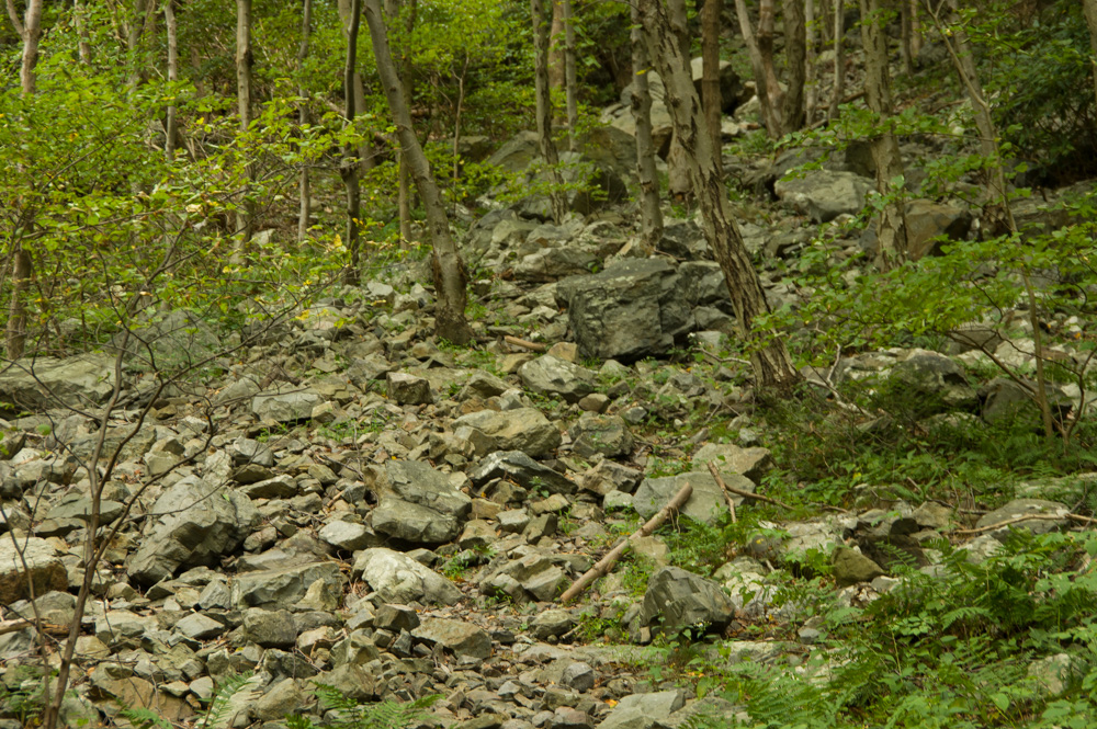 Point of Gap Overlook