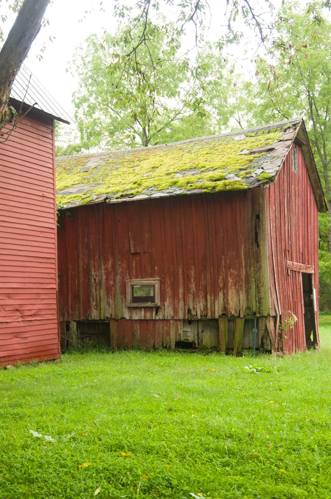 Old Farm Buildings