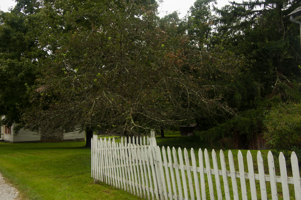 Millsboro Village