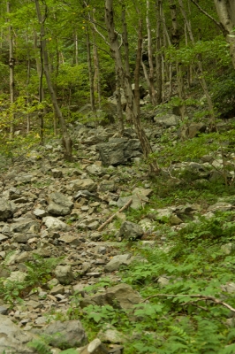 Point of Gap Overlook