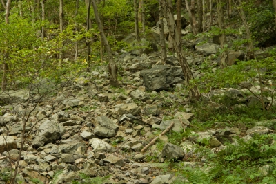 Point of Gap Overlook