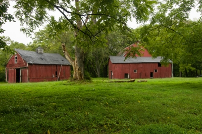 Old Farm Buildings