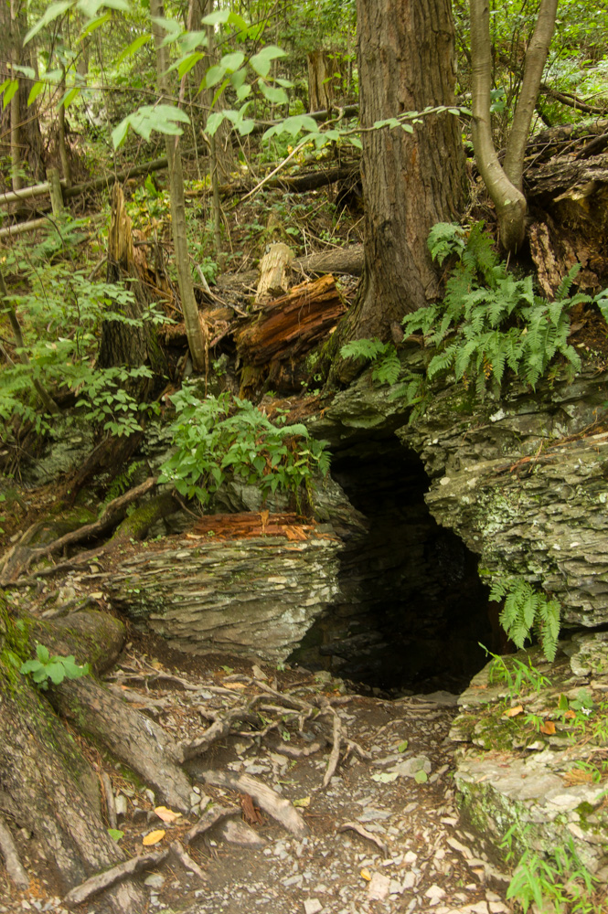 Raymondskill Falls