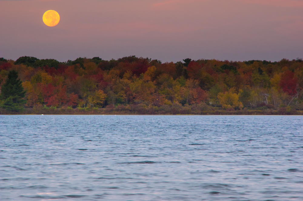 Pocono Lake