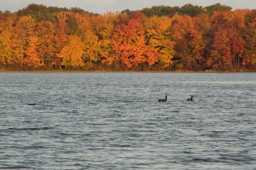 Pocono Lake