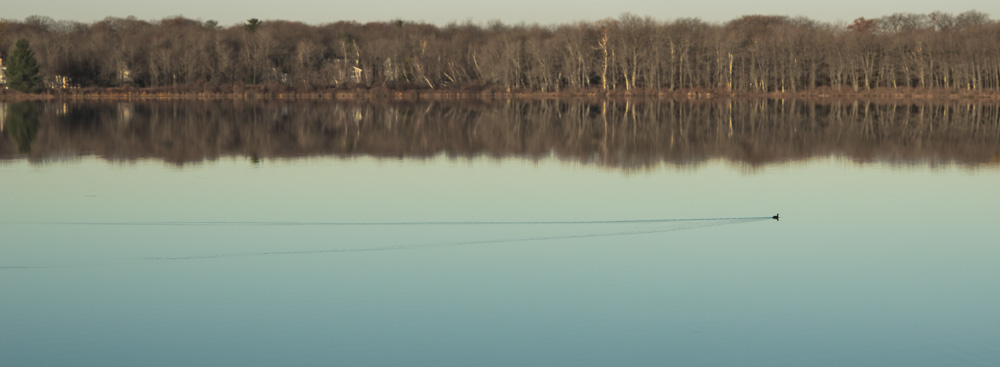 Pocono Lake