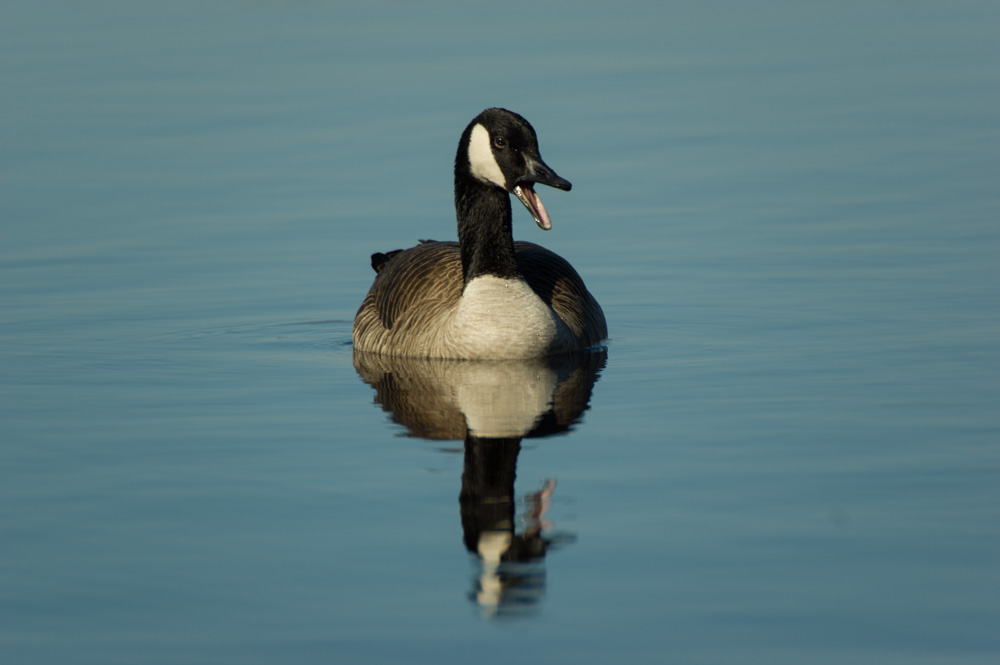 Pocono Lake