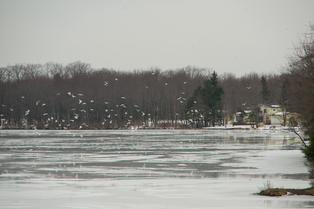 Pocono Lake