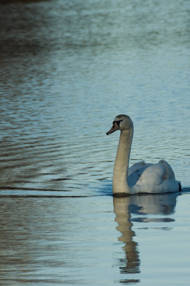 Pocono Lake