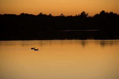 Pocono Lake