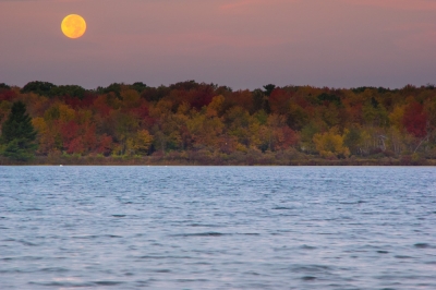 Pocono Lake