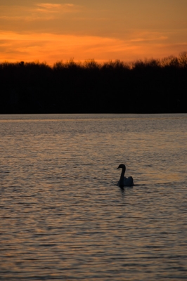 Pocono Lake