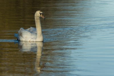 Pocono Lake