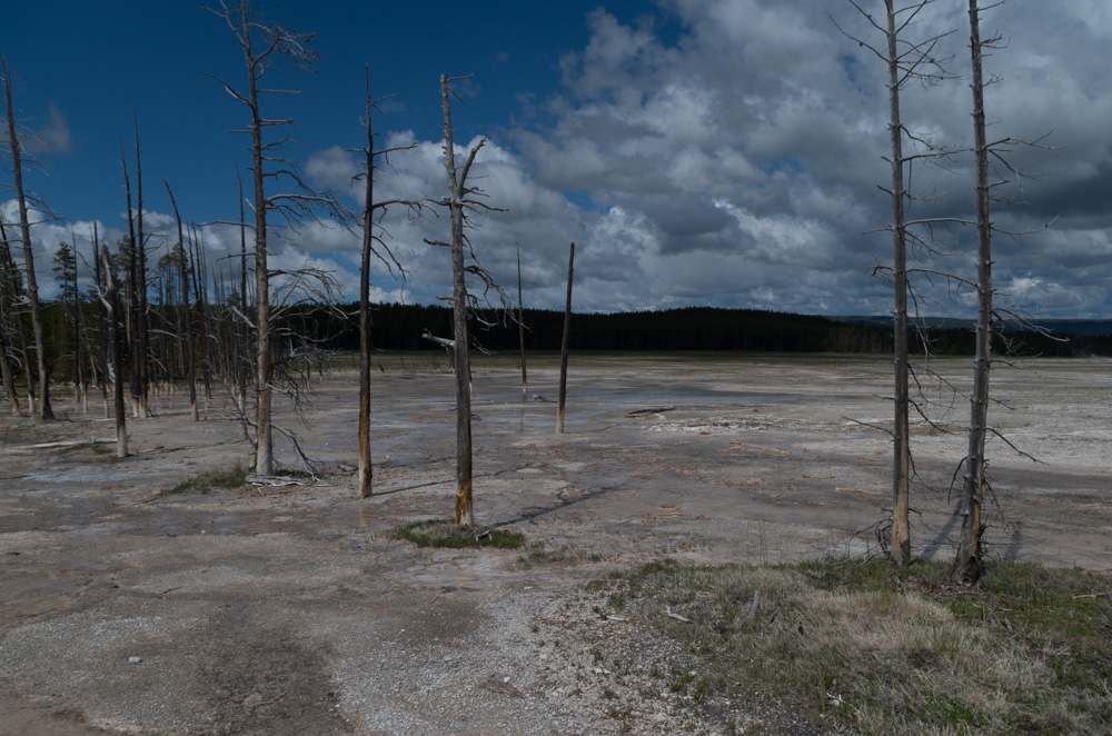 Yellowstone