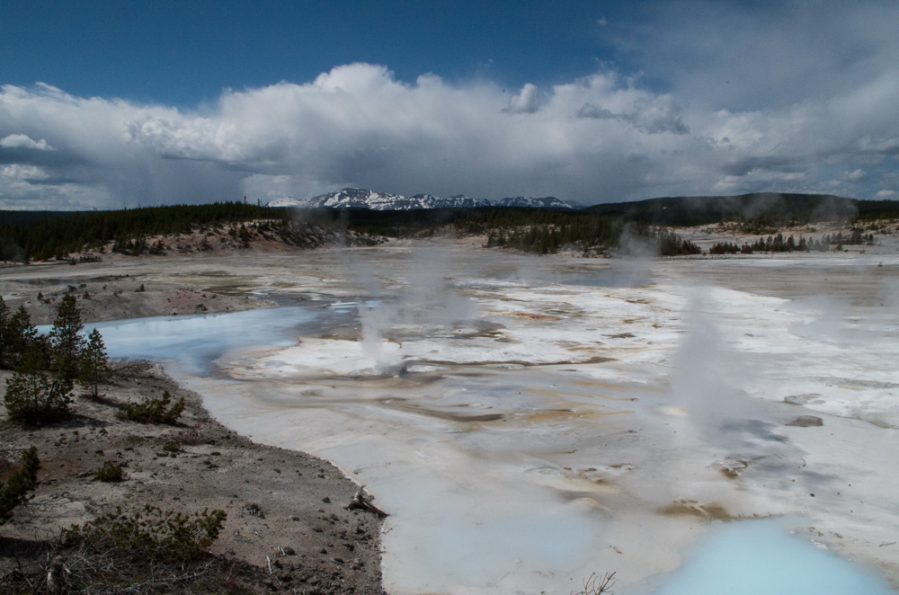 Yellowstone