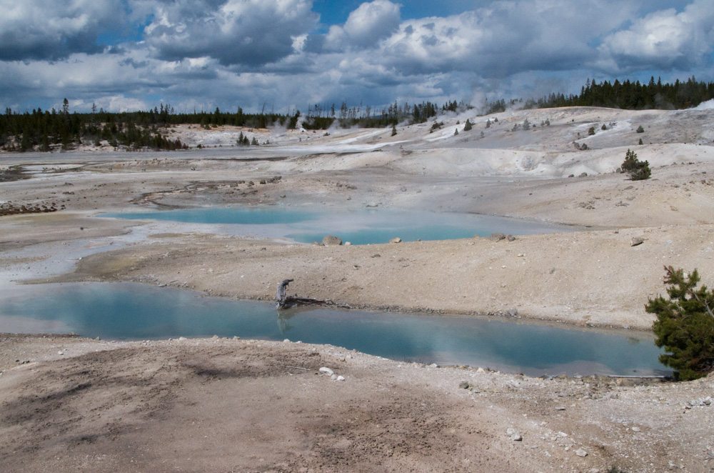 Yellowstone