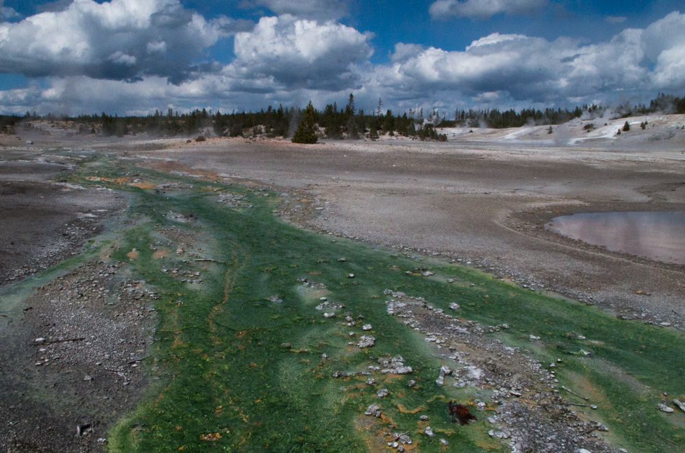 Yellowstone