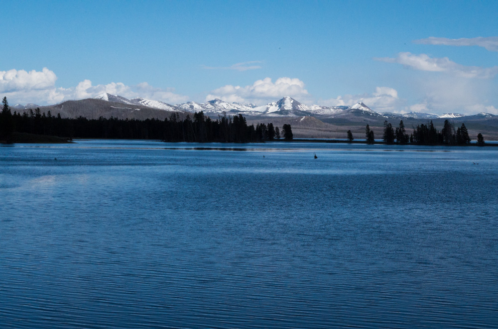 Yellowstone