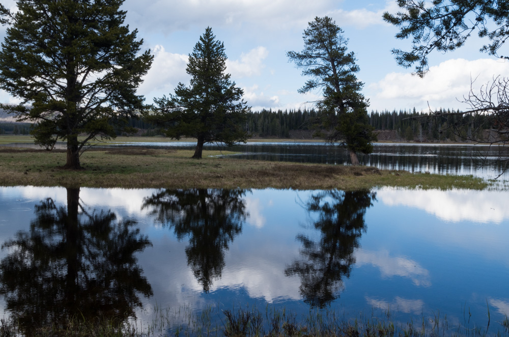 Yellowstone