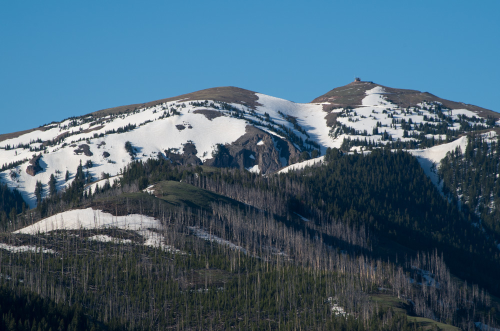 Yellowstone