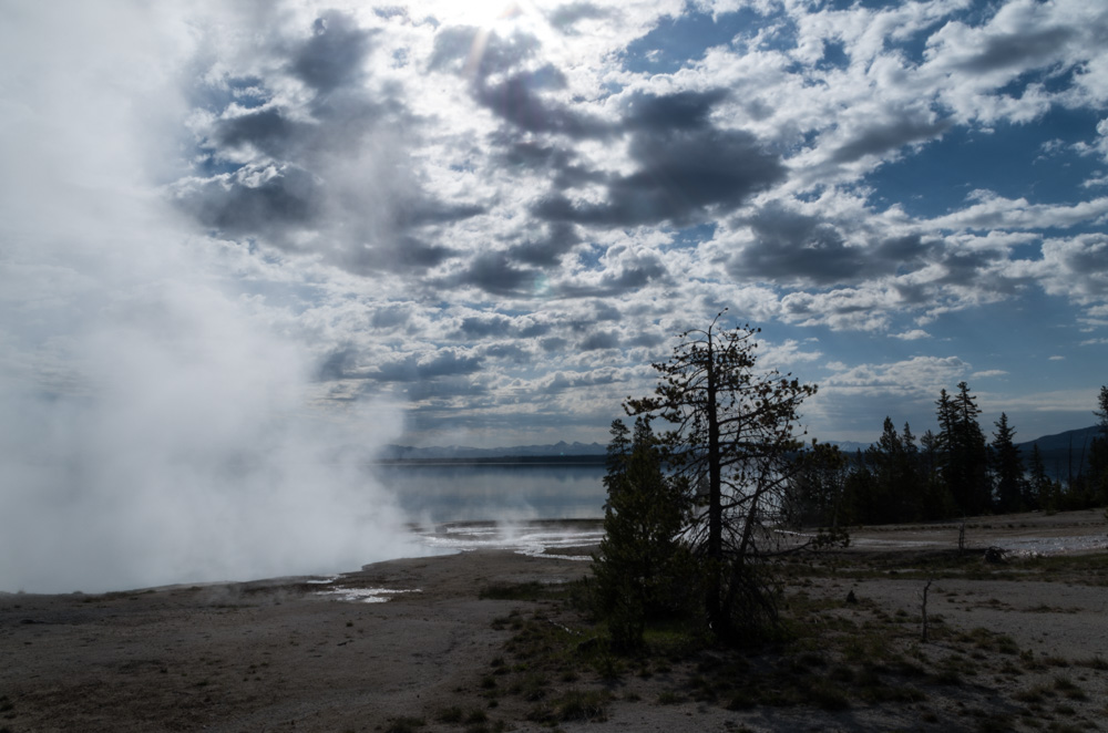 Yellowstone