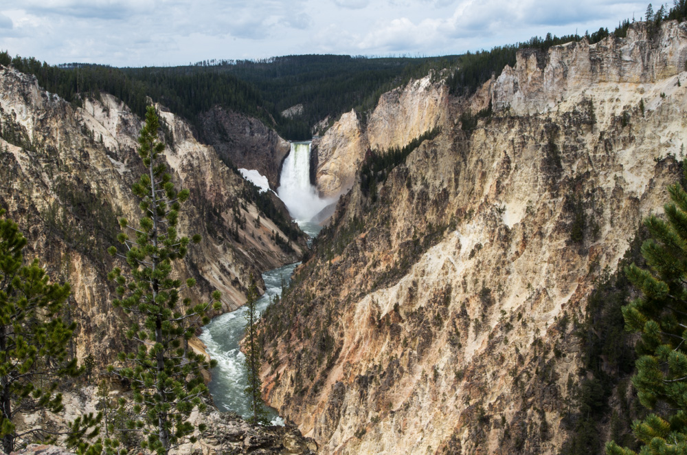 Yellowstone