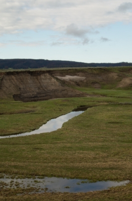 Yellowstone