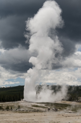 Yellowstone