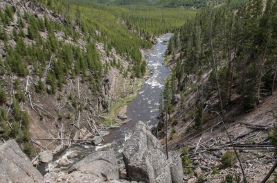 Yellowstone