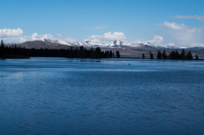 Yellowstone