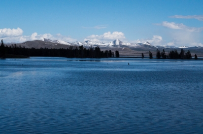 Yellowstone