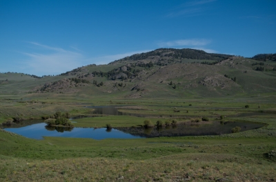 Yellowstone